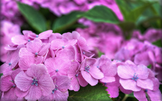 687529 (a): :2560x1600